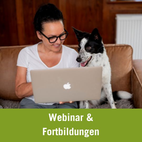 Futtermedicus Webinar, Fortbildung | Frau mit Hund vor Notebook