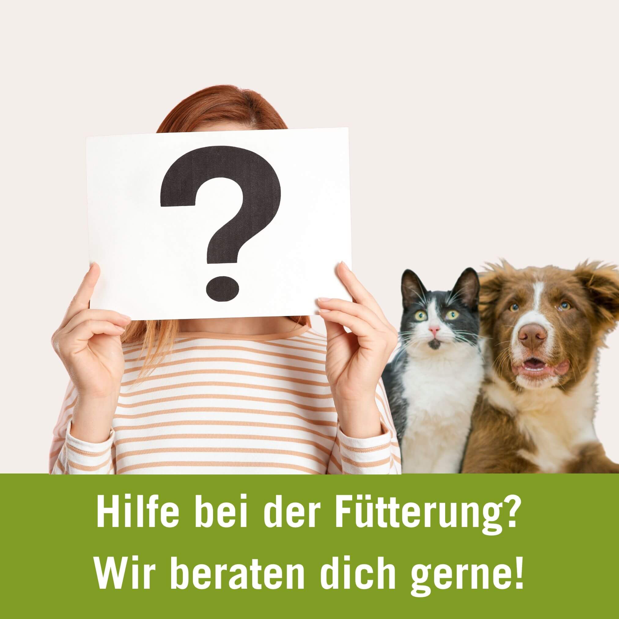 Tierärztliche Ernährungsberatung Hund und Katze | BIldtext: Hilfe bei der Fütterung? Wir beraten dich gerne!