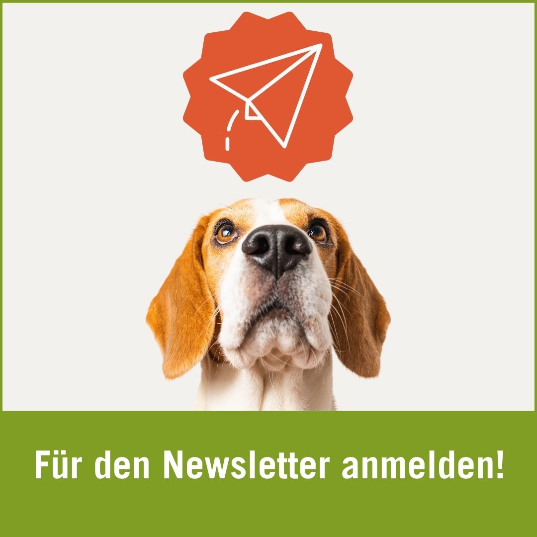 Zum Newsletter anmelden!