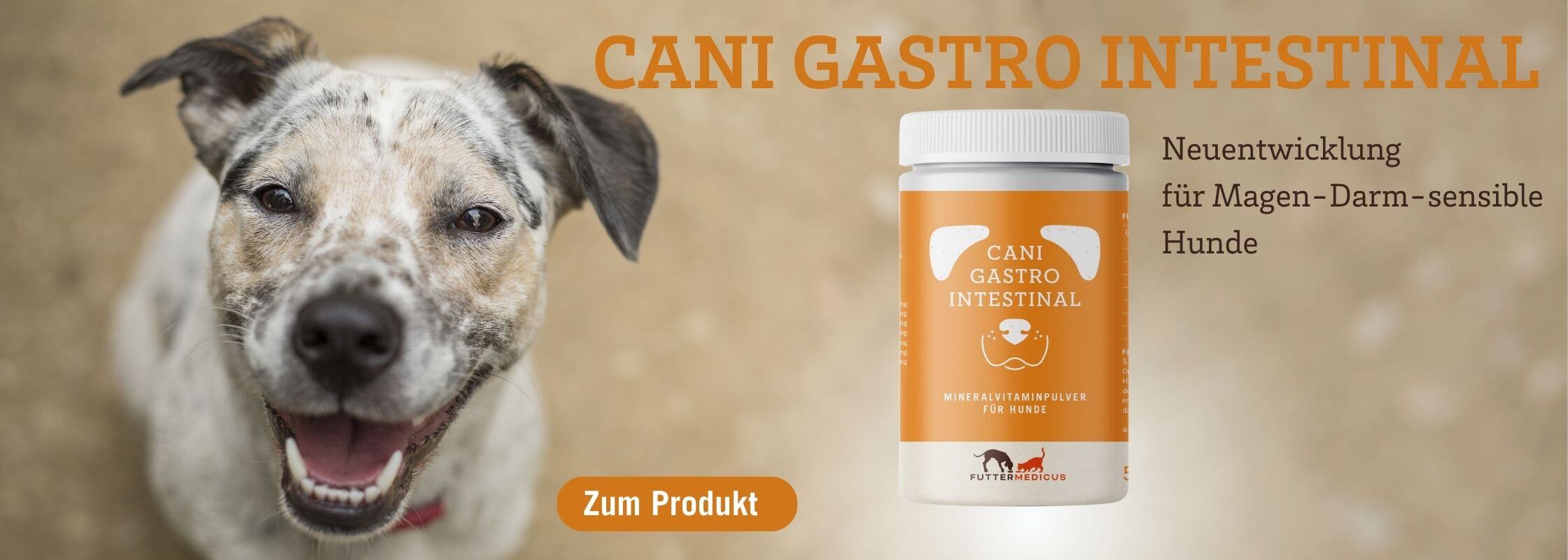 Cani Gastro Intestinal I Futterzusatz für Magen-Darm sensible Hunde | gefleckter Hund neben Produkt