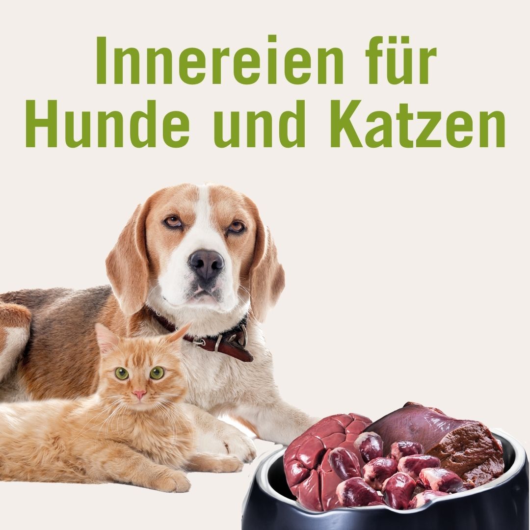 Futtermittelkunde | Innereien für Hunde und Katzen - dekoratives Bild