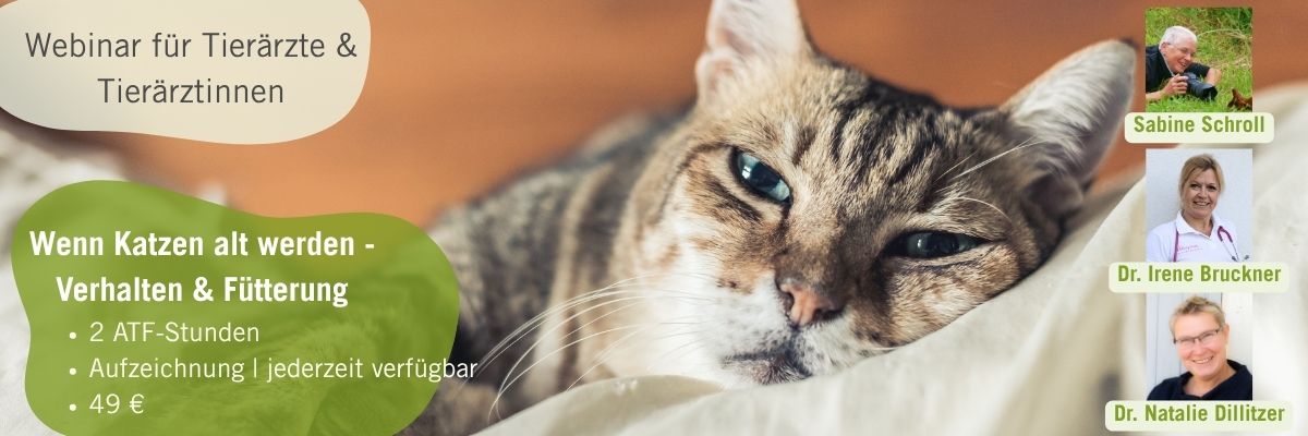 Webinar Seniorkatzen- Verhalten & Fütterung | Aufzeichung, 49 €, für TierärztInnen, 2 ATF Stunden