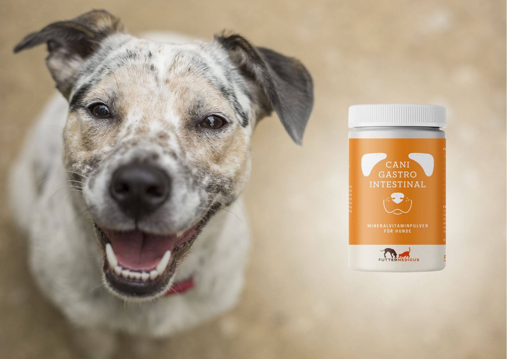 Cani gastrointestinal für magen-darm-sensible Hunde | gefleckter Hund mit Produkt